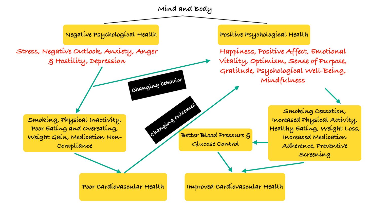 The Mind-Body Connect and Positive Psychological Health