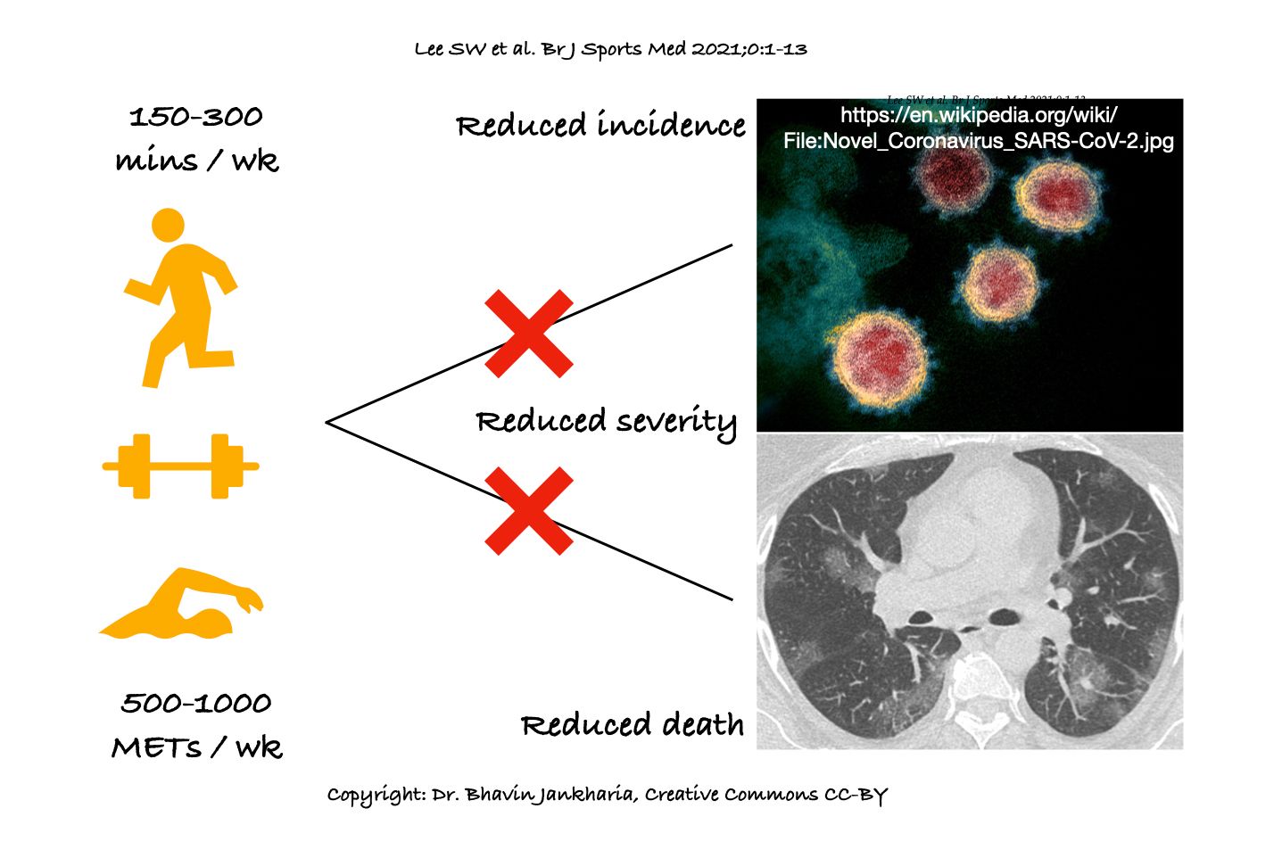 Physical Activity - Forming a Protective Troika along with Vaccines and Masks Against Covid-19?