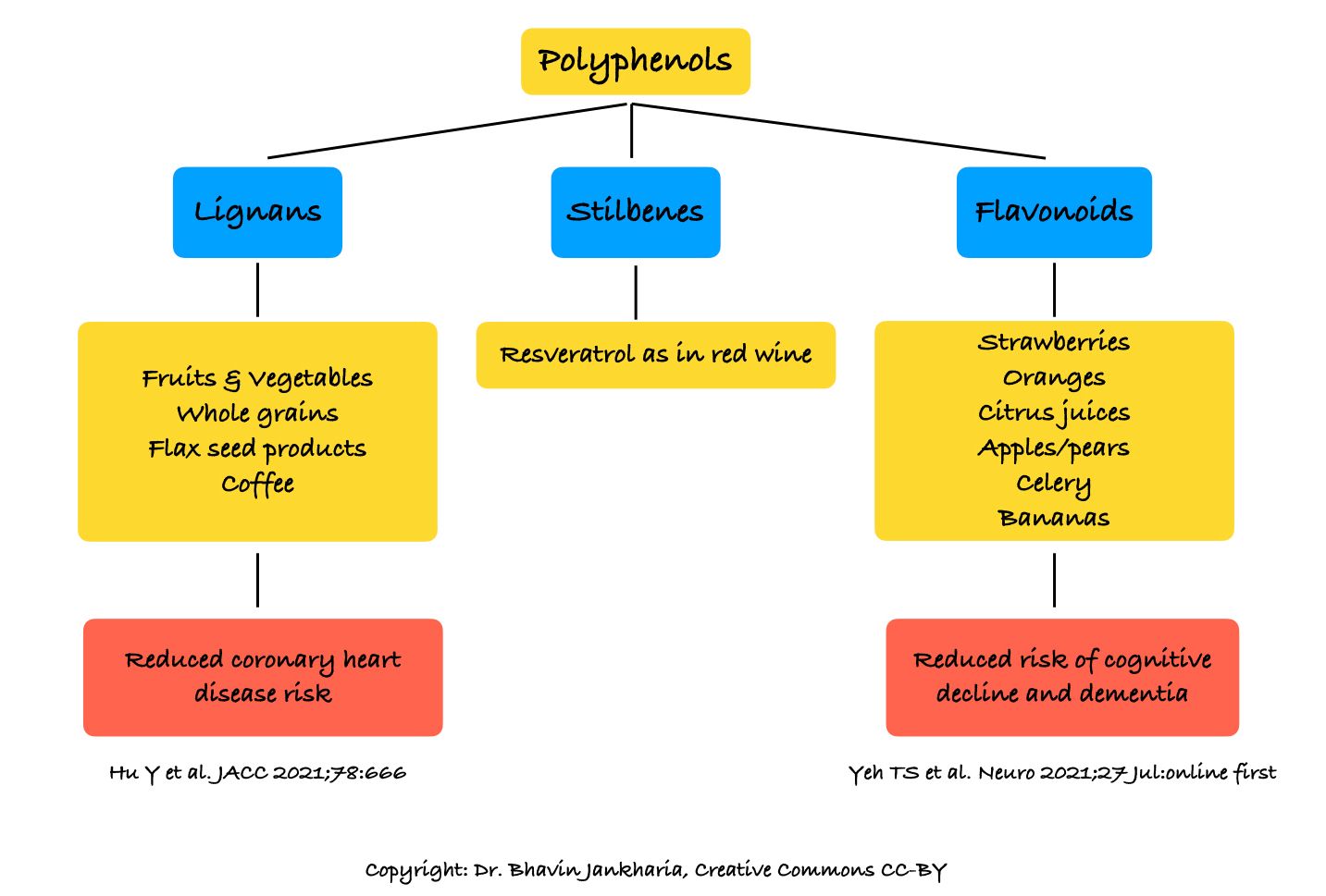 Polyphenols, Cardiovascular Risk and Cognitive Decline