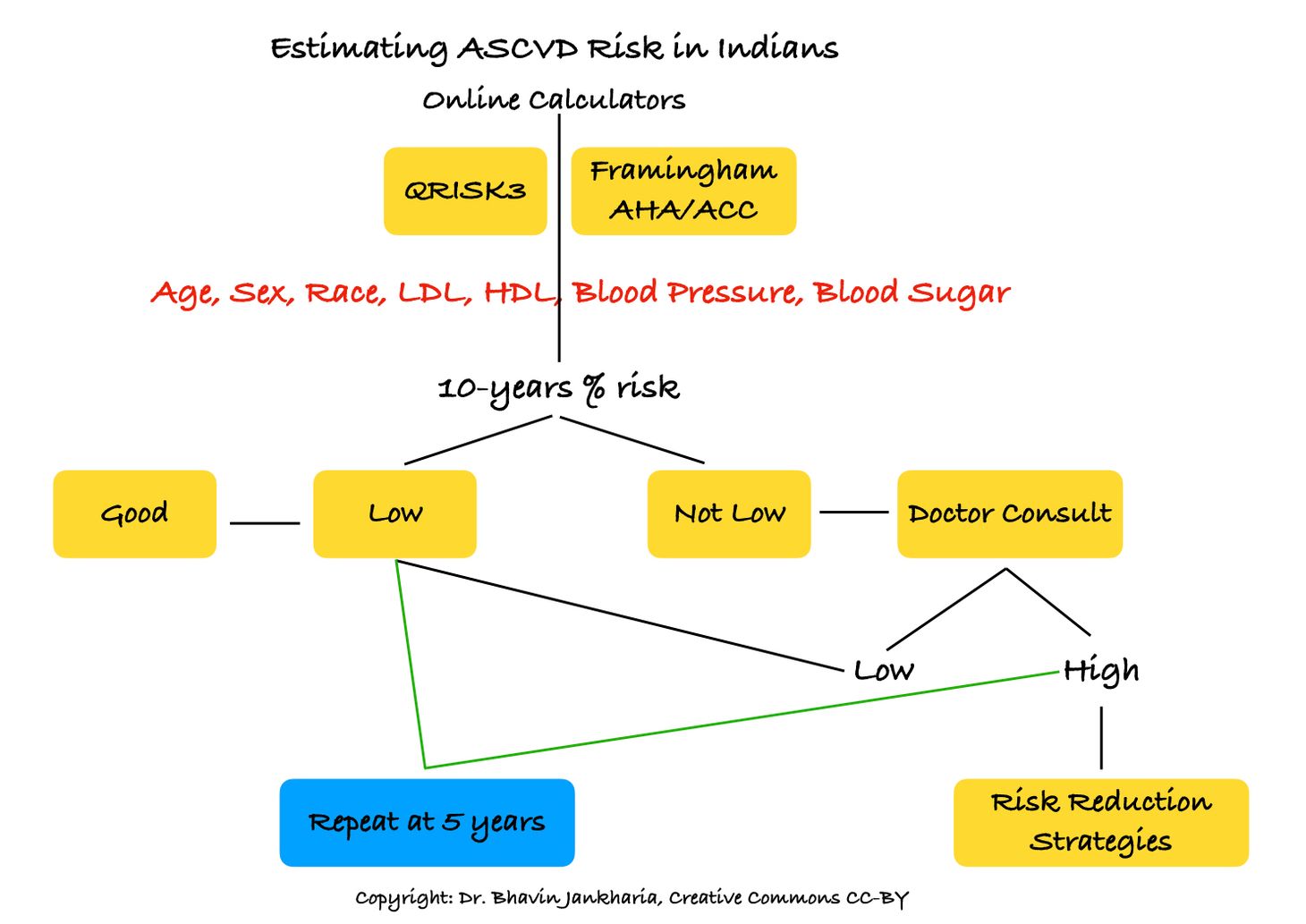 Cardiovascular Risk Assessment at Regular Intervals