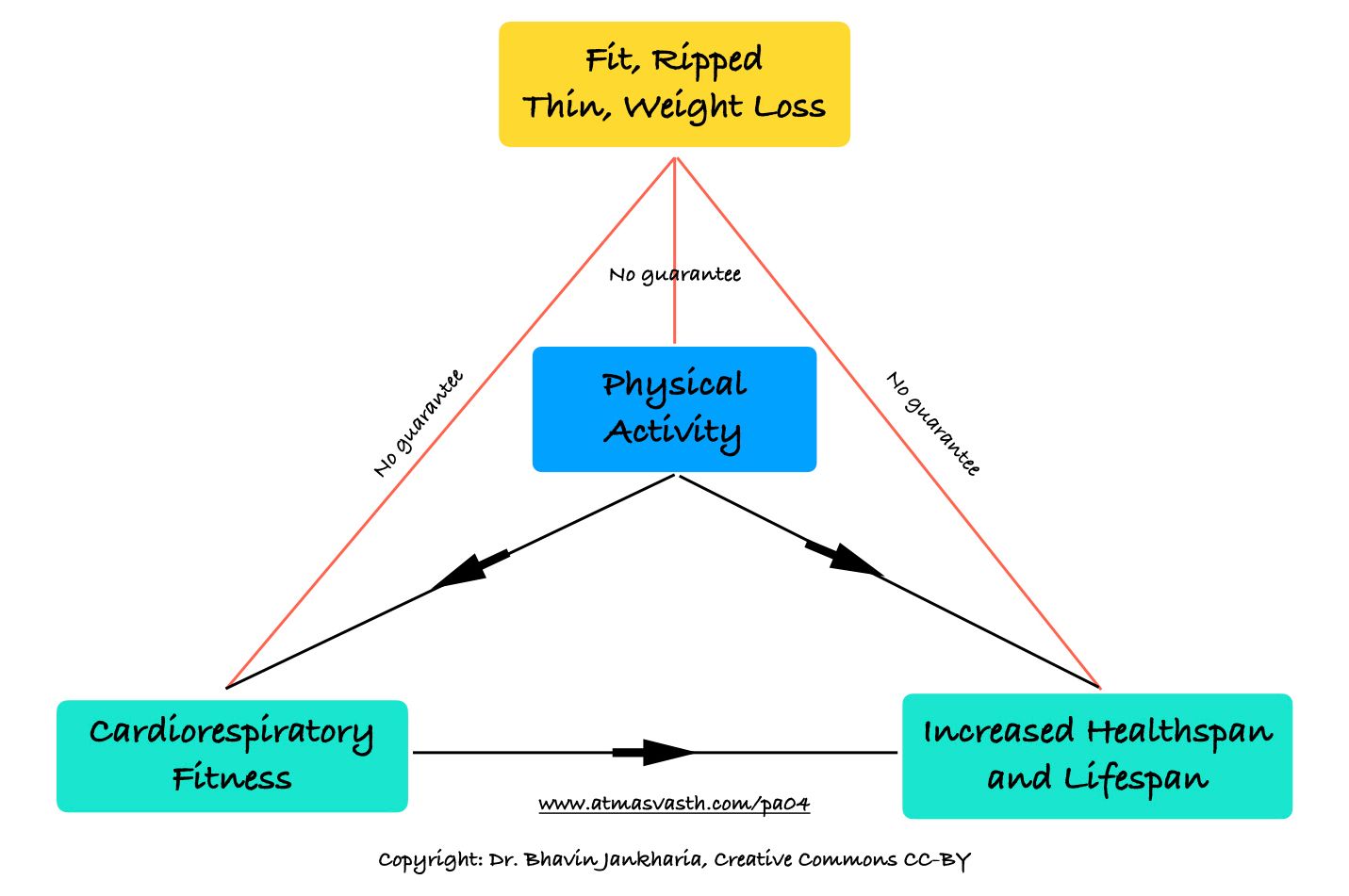 The Disconnect Between How Thin or Fit We Look and How Healthy We Actually Are