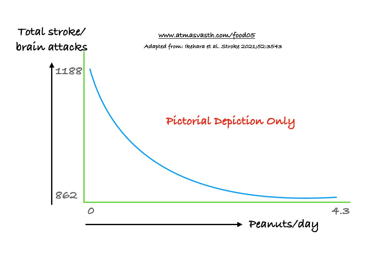 A Few Peanuts a Day Keep Brain Strokes Away