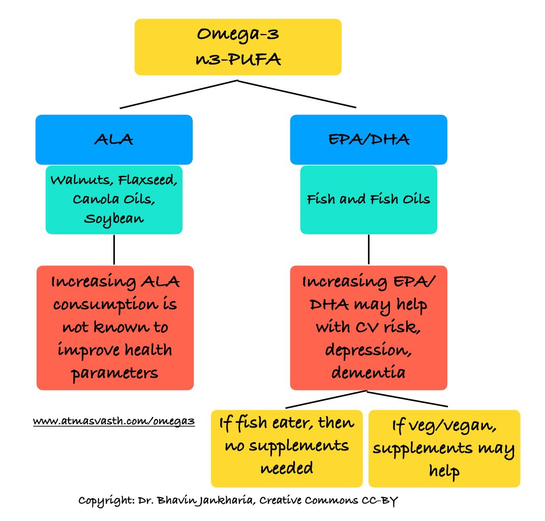 Omega-3, PUFA, ALA, EPA, DHA...What is Going On?