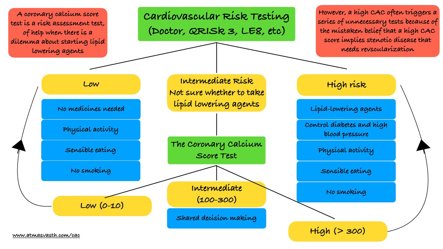 The Coronary Calcium Score Test - A Useful Test, But...